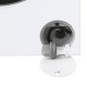 Πλυντήριο Ρούχων Candy CW50-BP12307-S 5kg